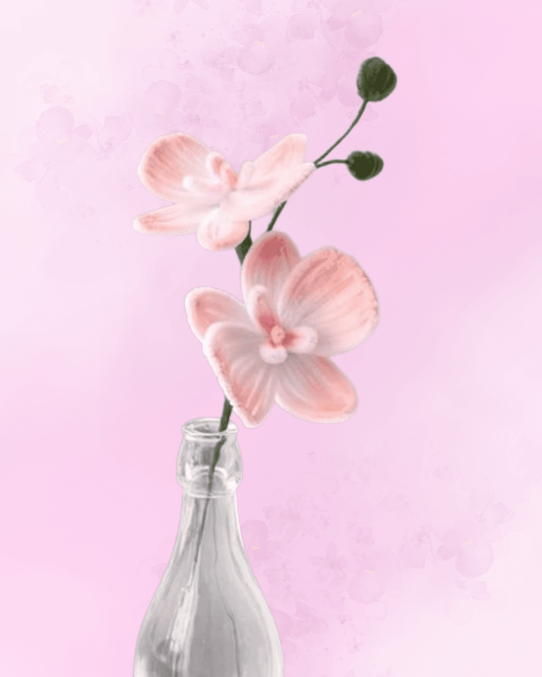 Orchid